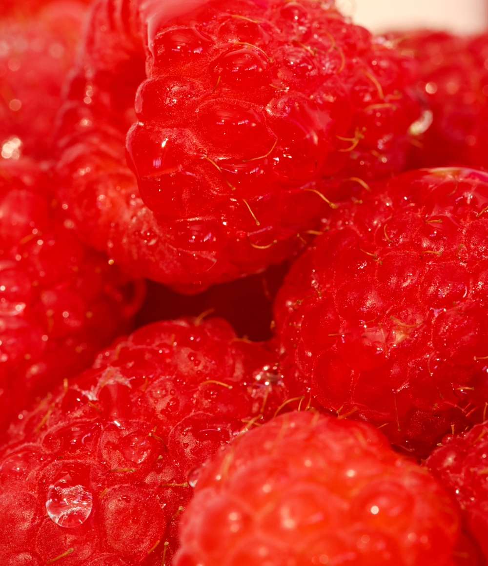 Razzle Dazzle 4-Pack Lip Balm - View 2